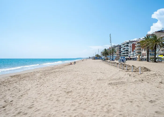 Dorada Mar Calafell